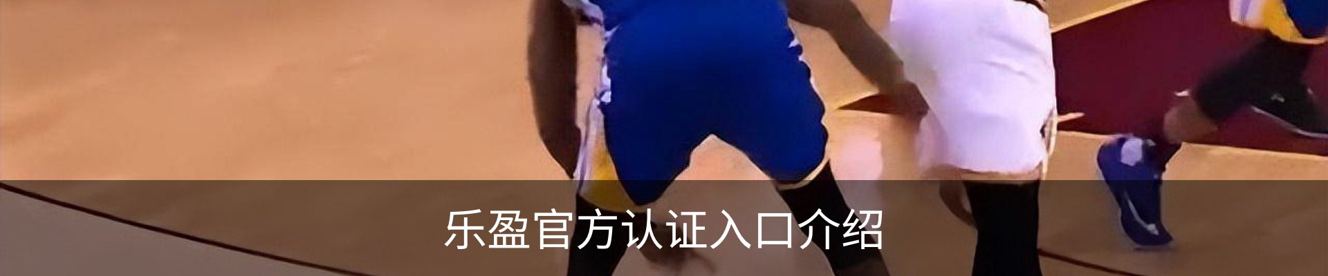 乐盈官方认证入口介绍